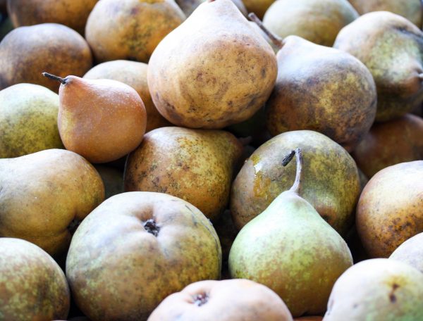 Doyenne du comice peer 1 Doyenne du comice peer